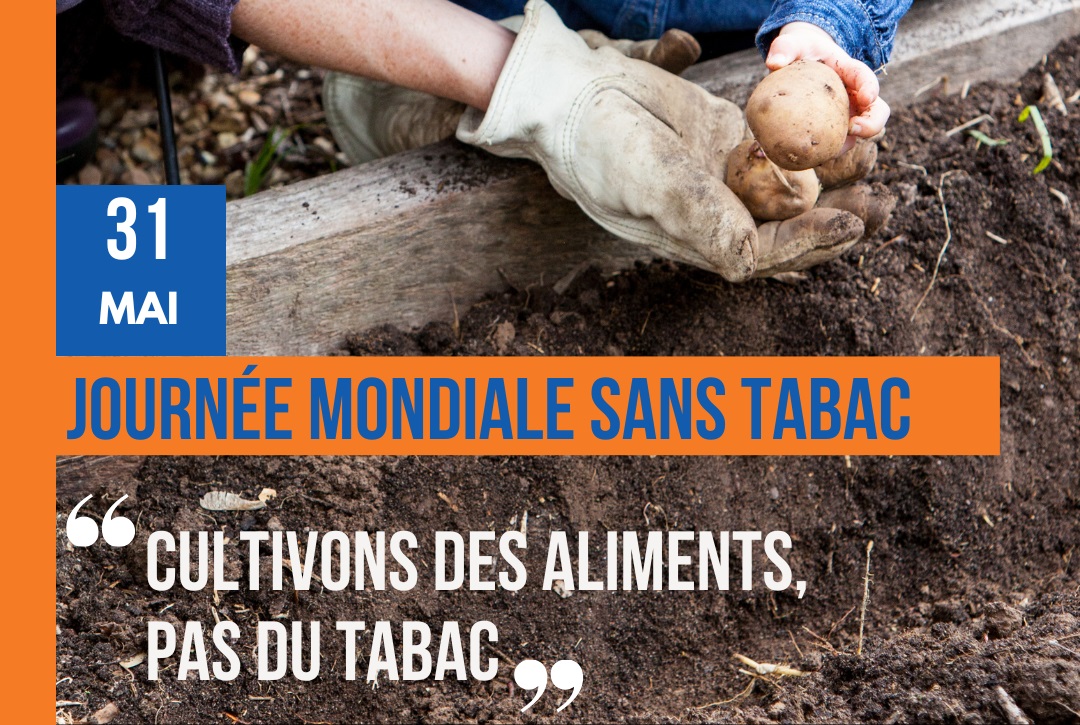 journée 2024 sans tabac