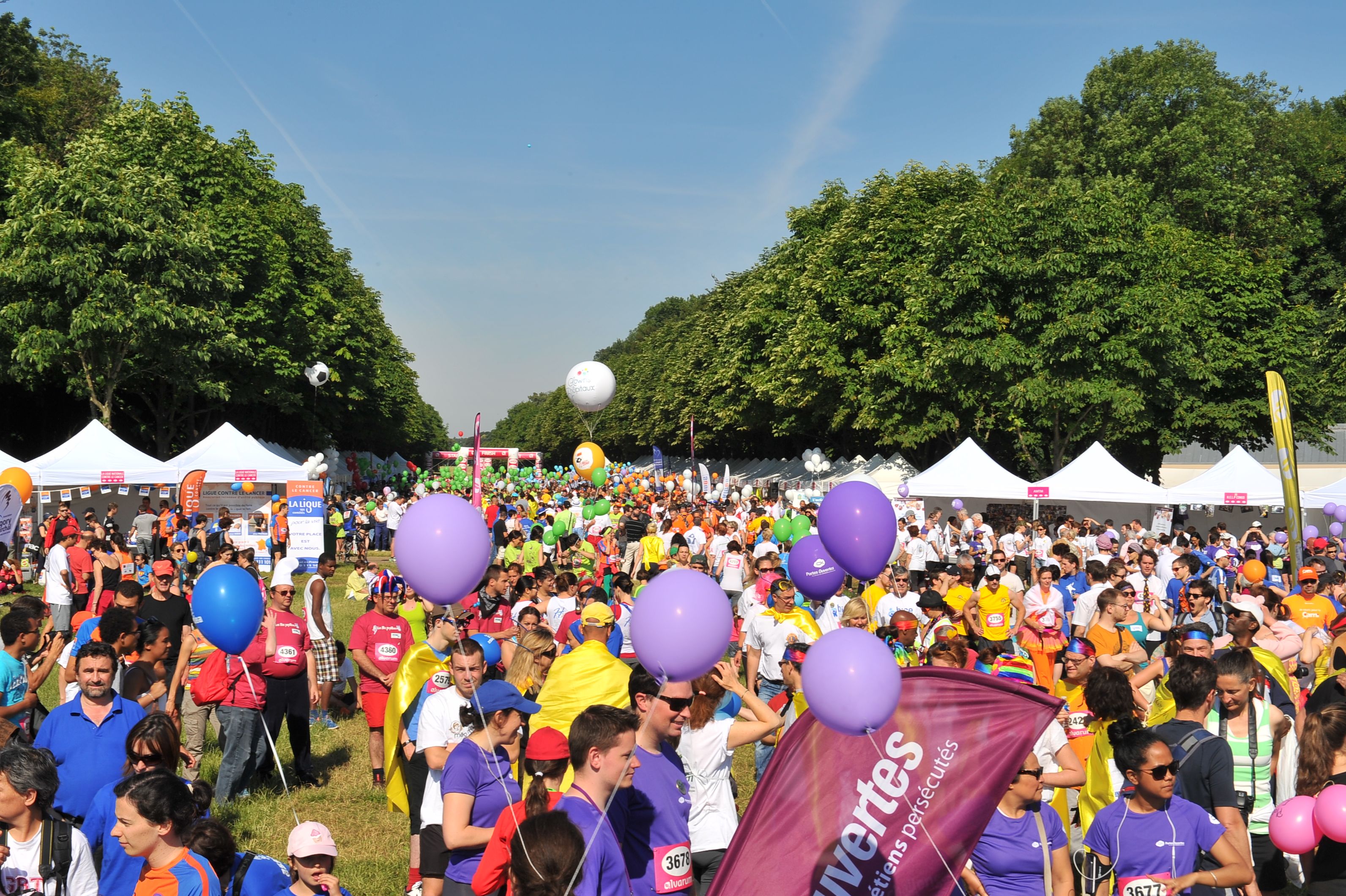 La course des héros 2015 de la Ligue