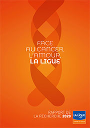Raport recherche 2020