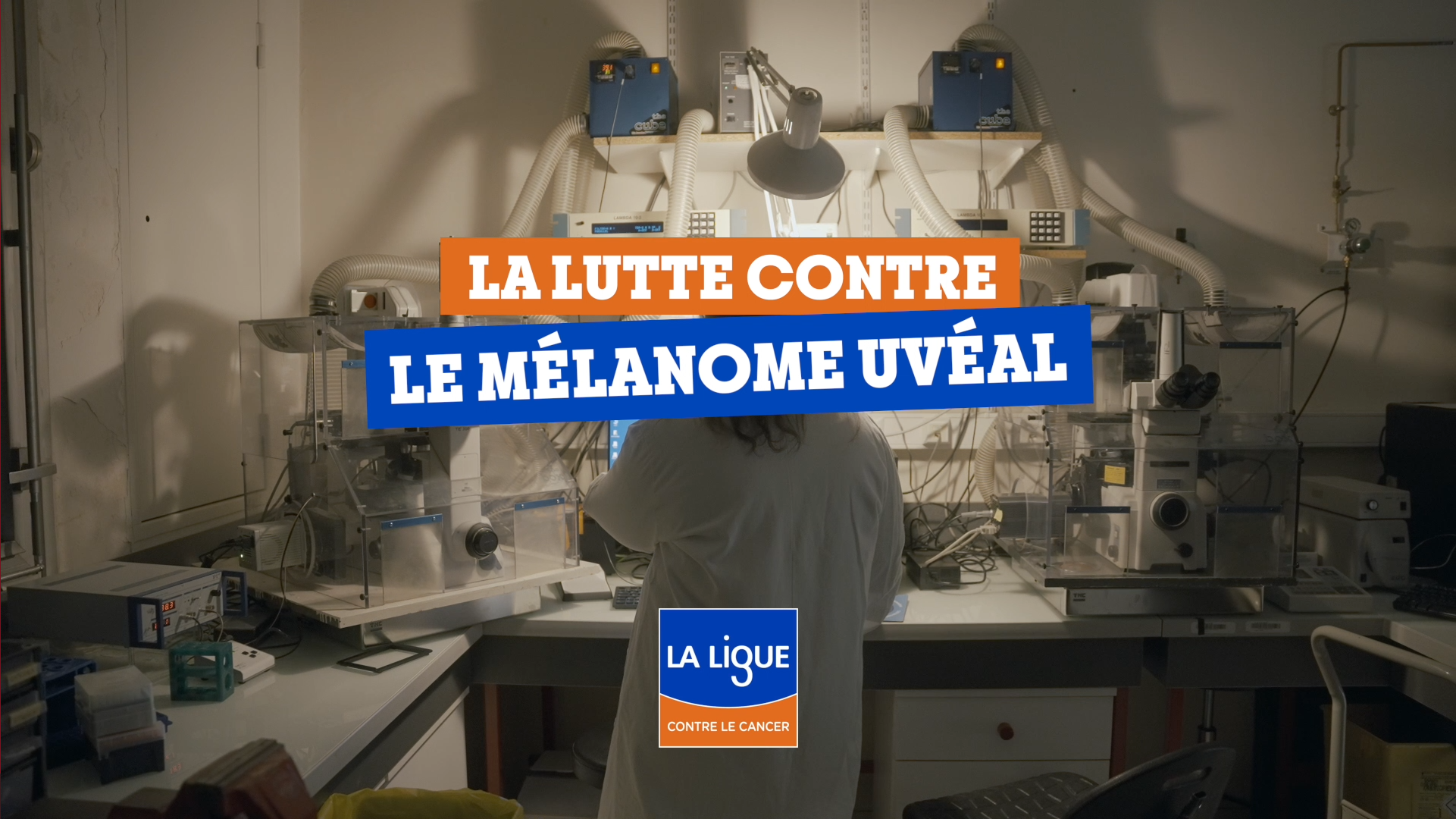 Corine Bertolotto visuel vidéo recherche