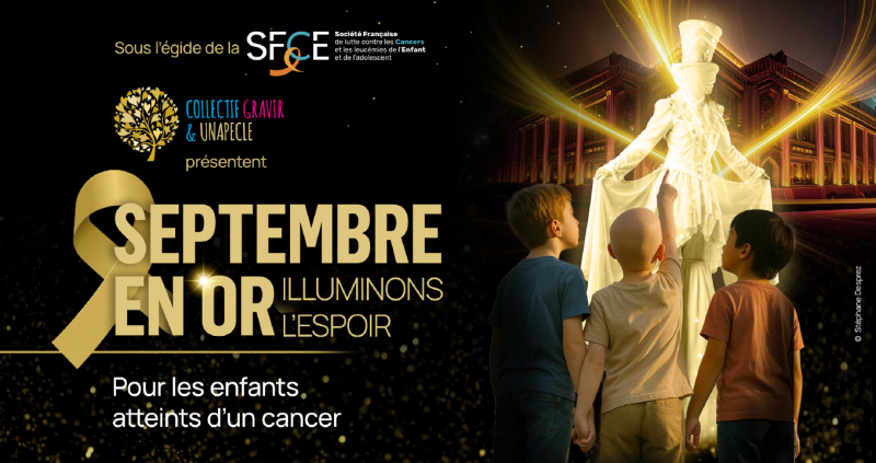 Visuel SFCE 13 septembre