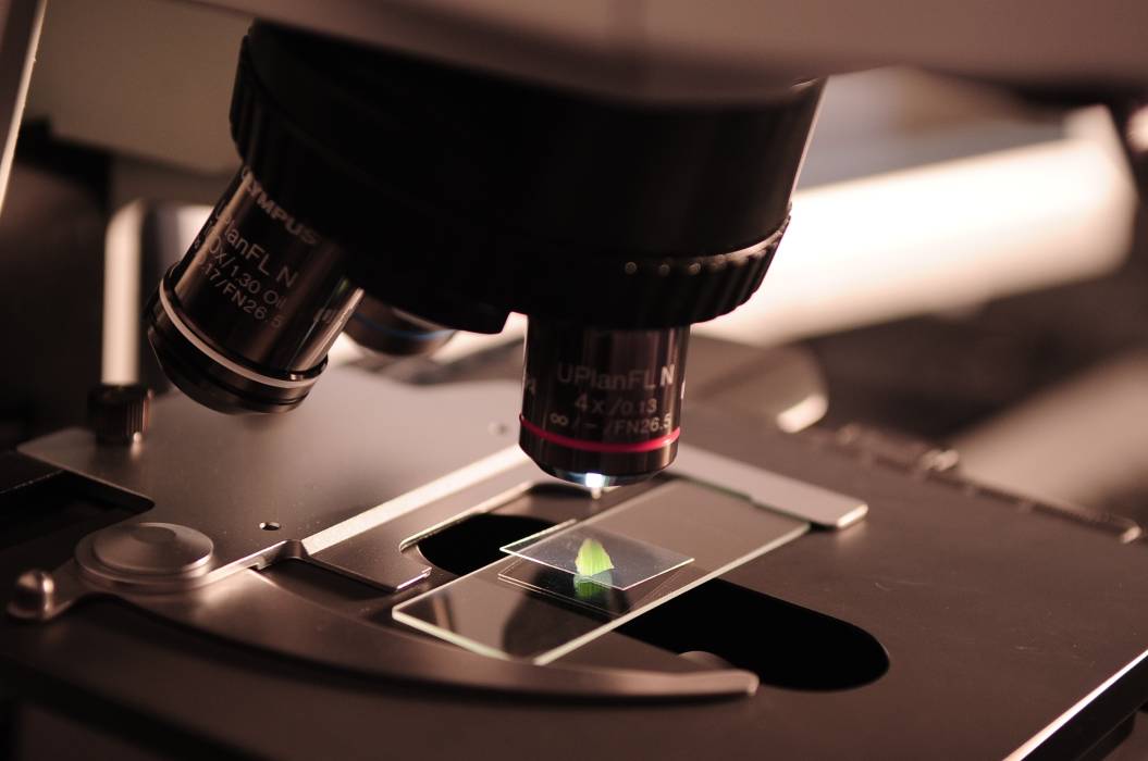 Le comité 95 soutient la recherche Microscope