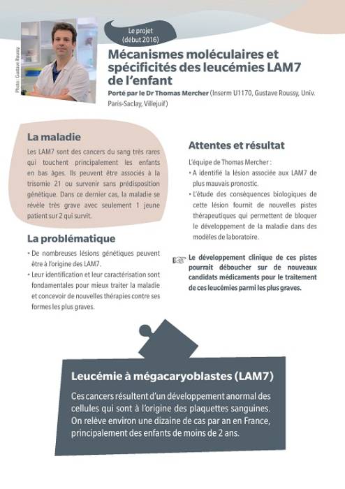 Flash sur les travaux du Dr Thomas MERCHER sur les cancers pédiatriques, menés avec le soutien de la Ligue contre le cancer.