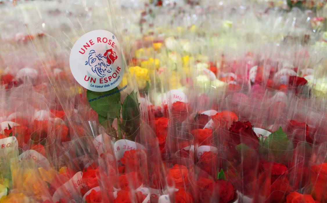 une rose un espoir