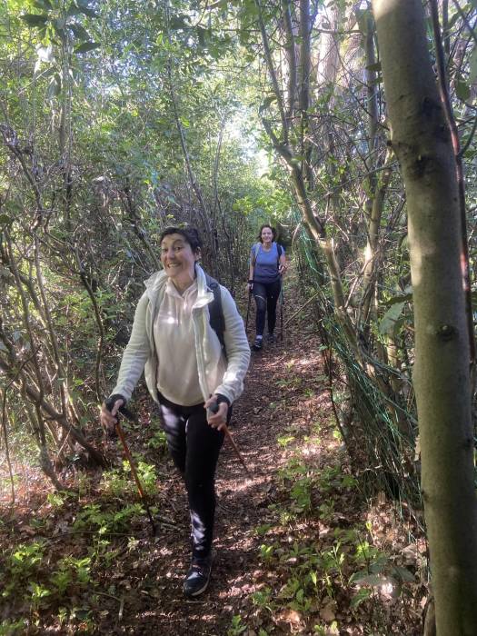 Activité physique marche nordique