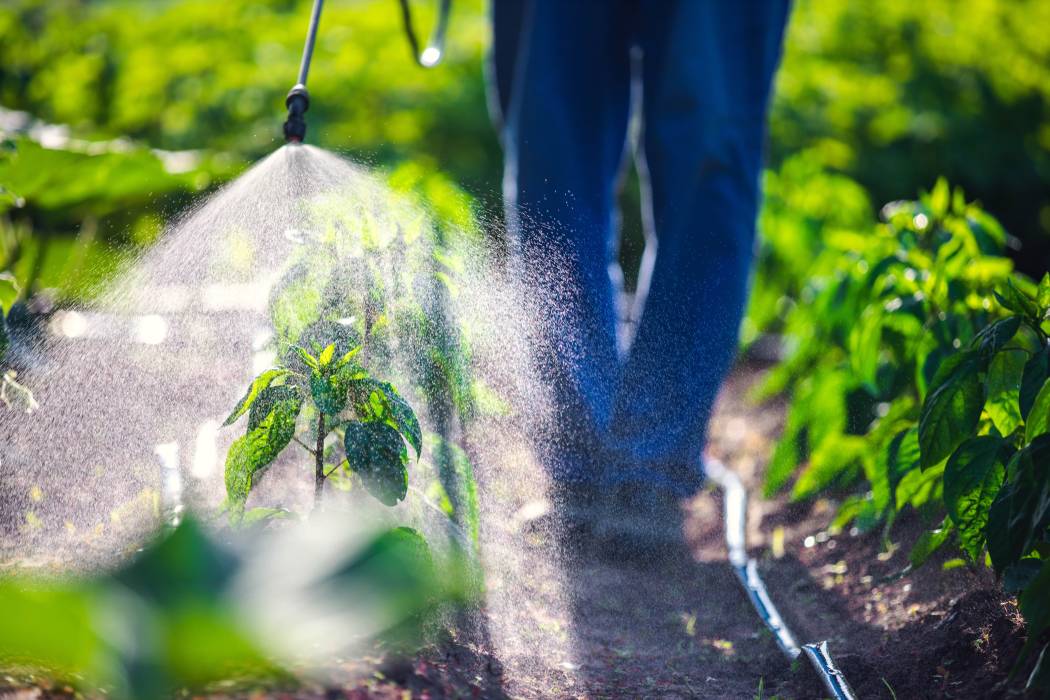 exposition pesticides