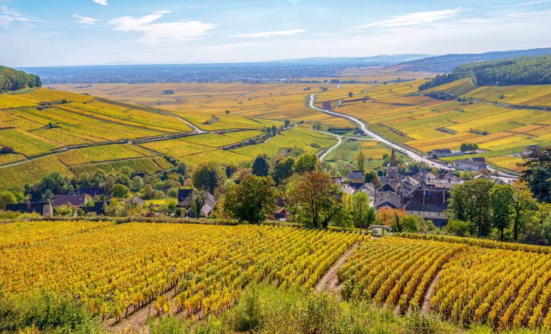 Côte-d'Or