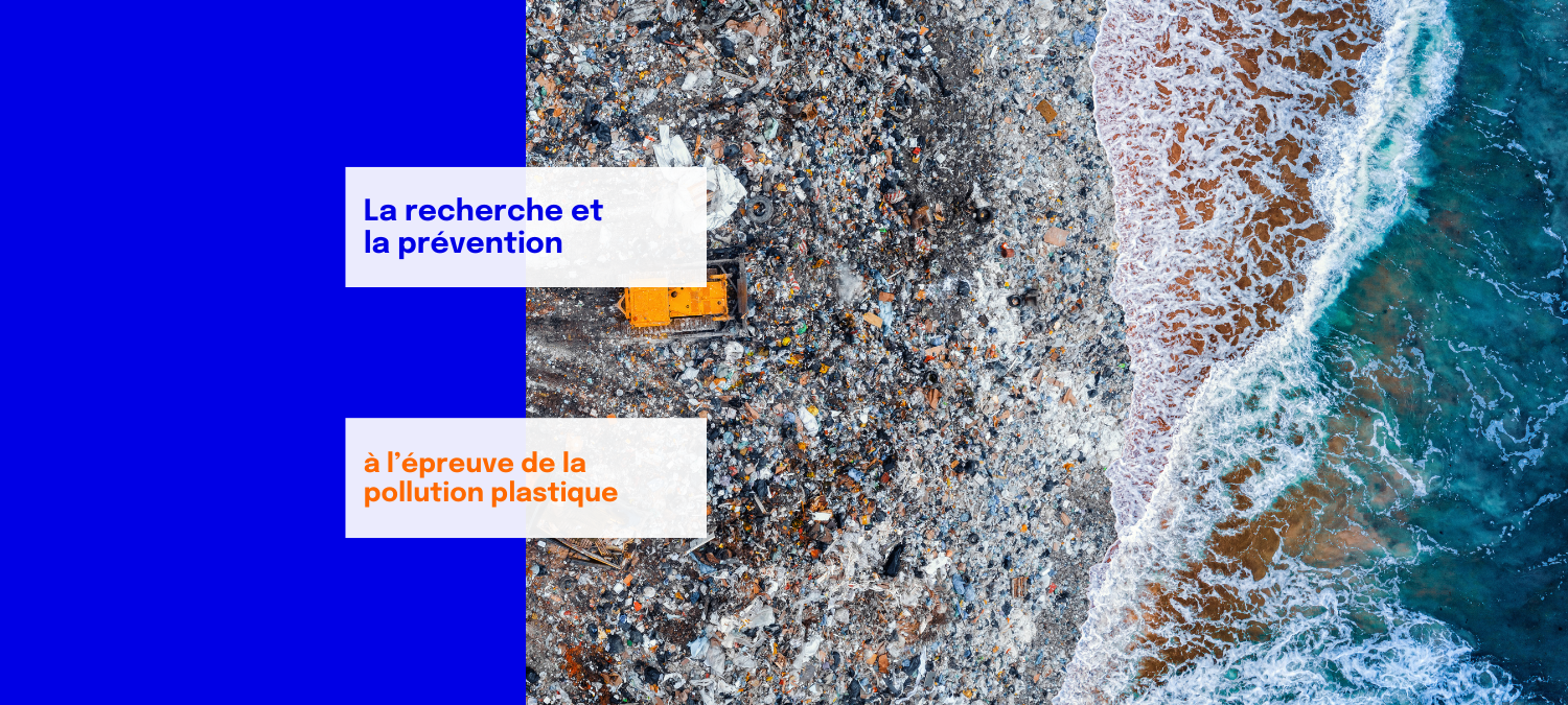 Journée mondiale de l'environnement