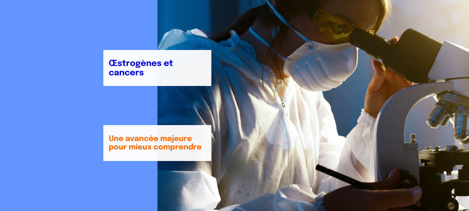 Actu Œstrogènes et cancers