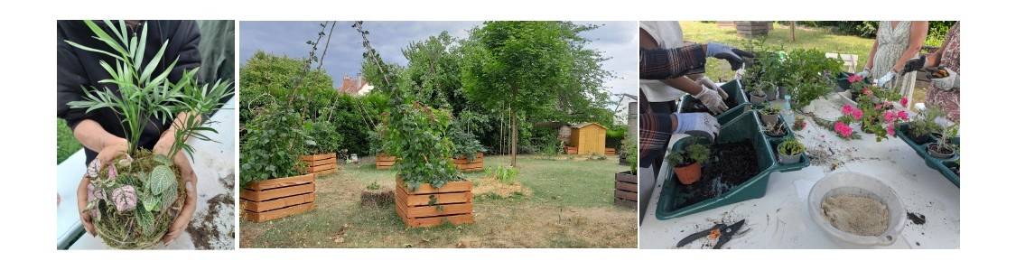 Atelier hortithérapie