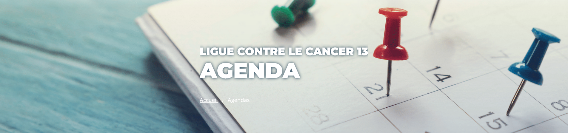 Agenda 13