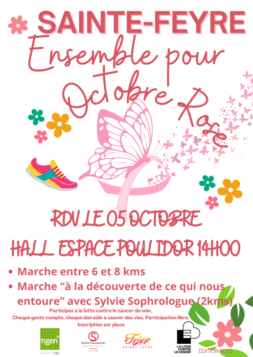 Affiche Sainte Feyre