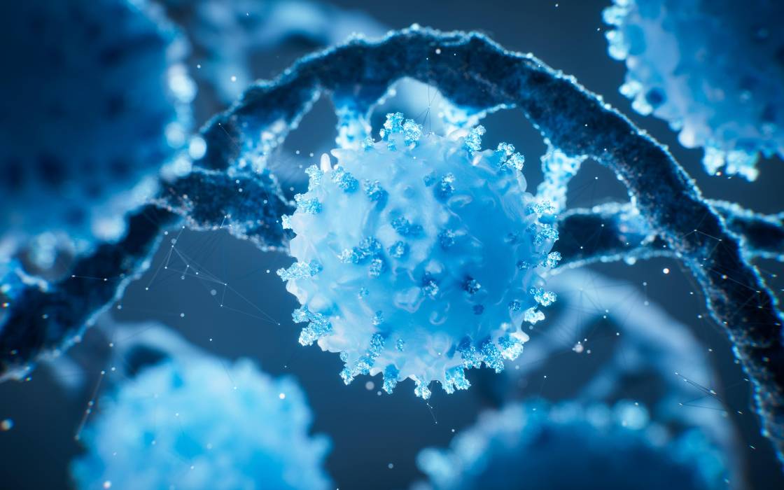 cellule lymphocyte T