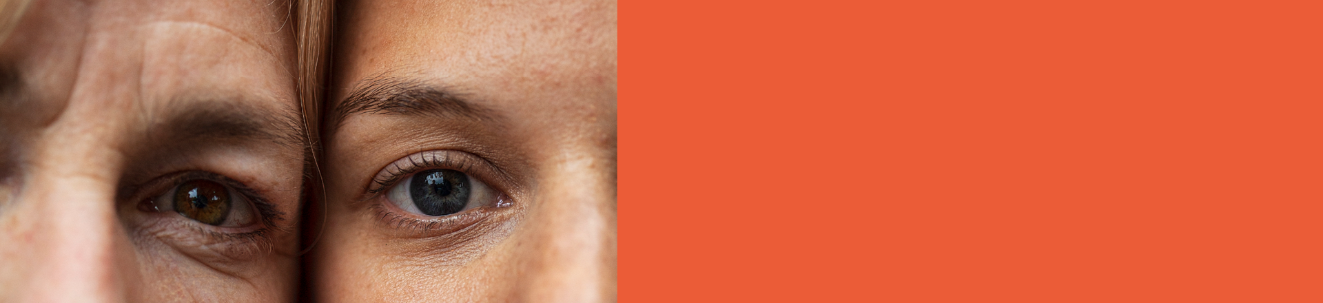 bandeau_site_1920x440