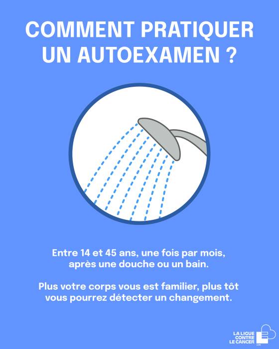 autosurveillance testicules