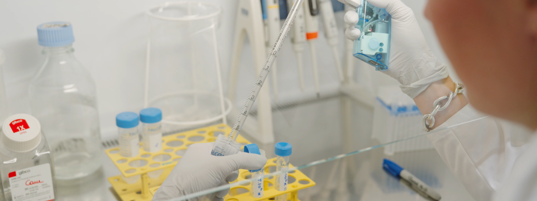 Visuel recherche Bousso