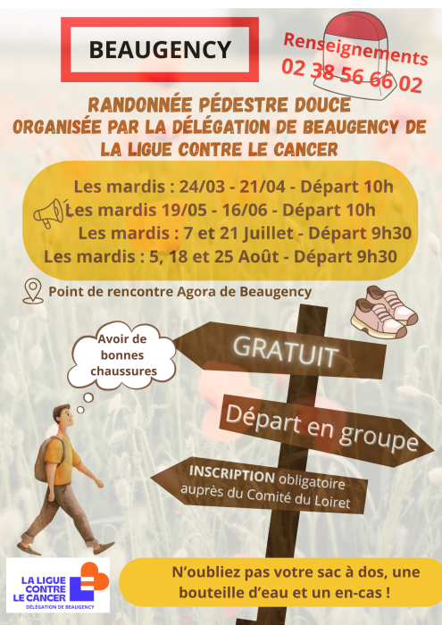 RANDONNEE PEDESTRE BEAUGENCY 030326