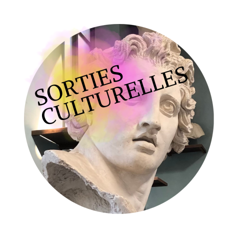 sortie culturelle
