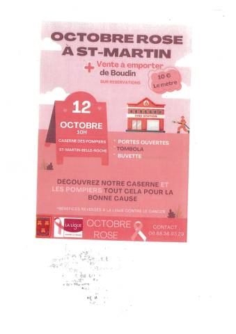 ST MARTIN BELLE ROCHE