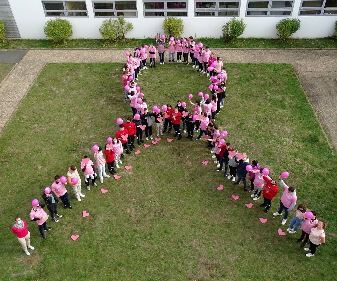 Ruban Rose Lycée