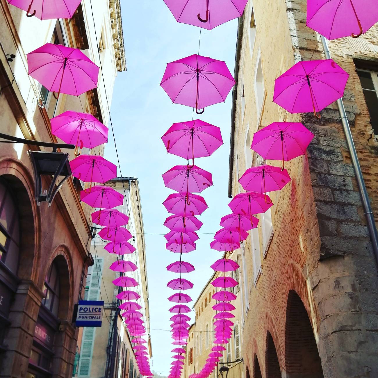 Parapluies roses