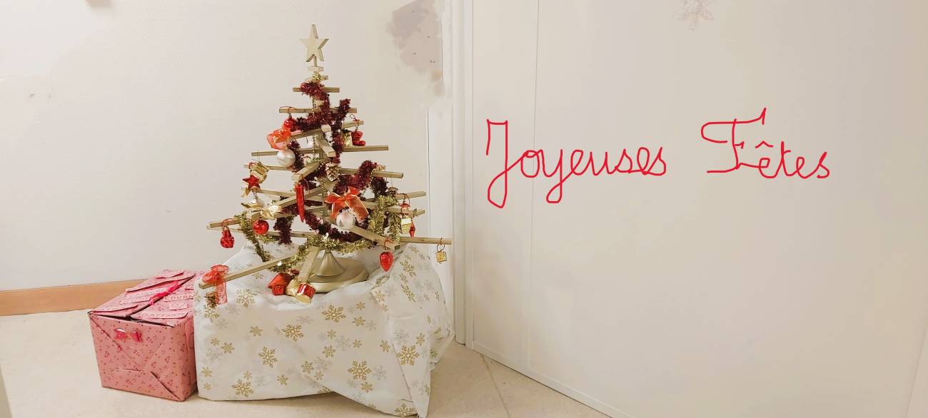 Notre sapin de Noël 2024 Sapin de noël