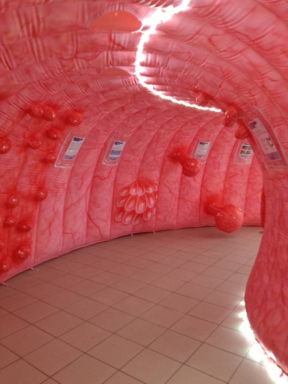Colon tour