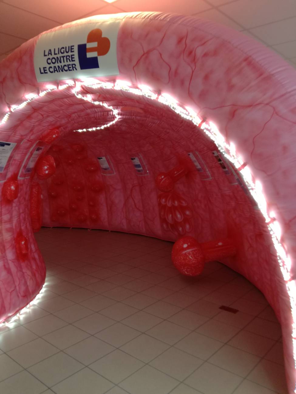 colon tour