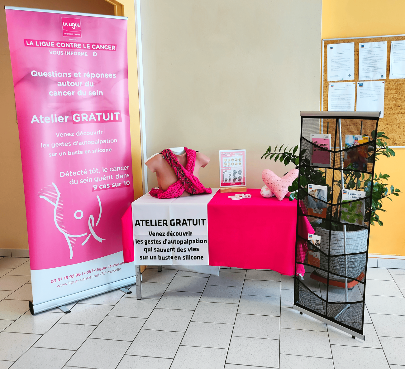 Présentation du stand Octobre Rose