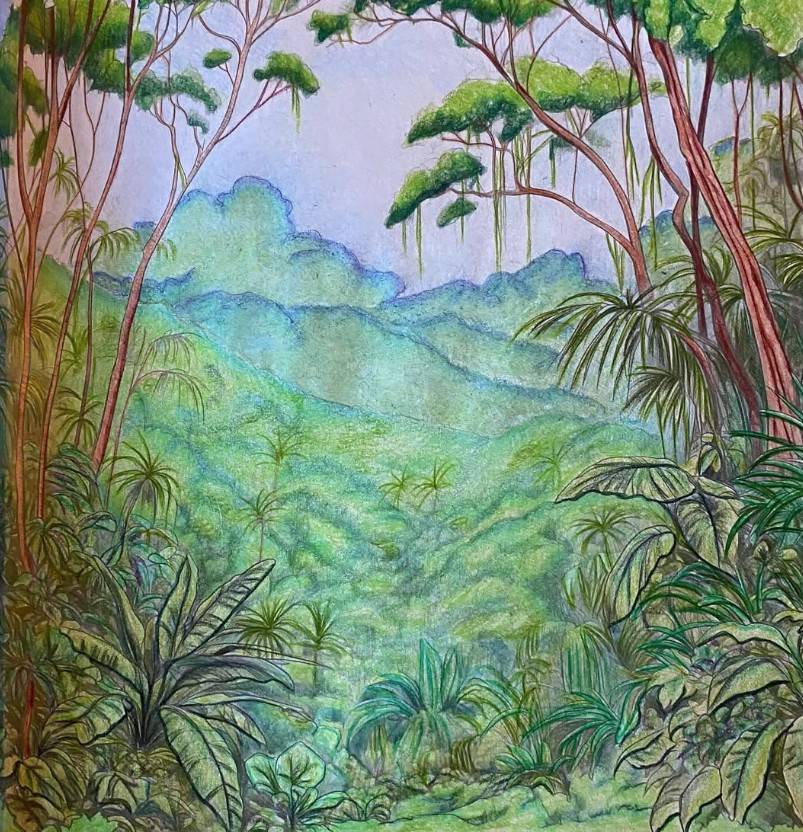 Jungle