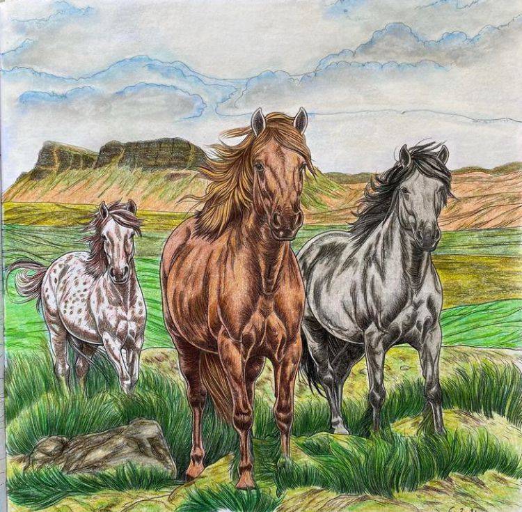 Coloriage chevaux 
