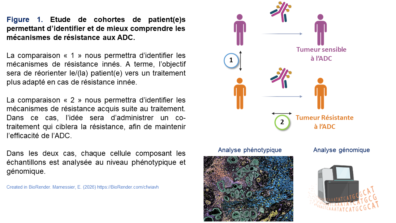 onco predict' team Fig 1