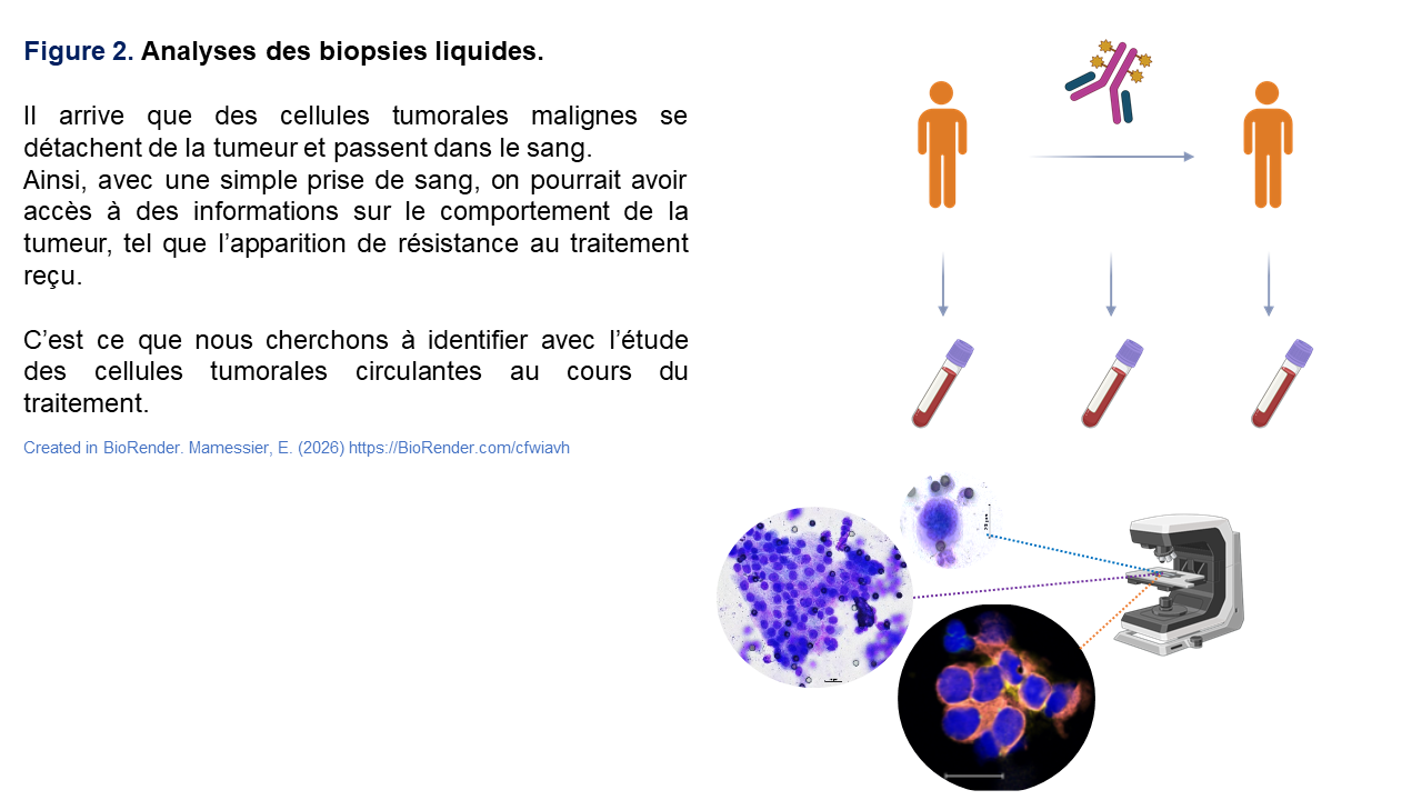 onco predict' team Fig 2