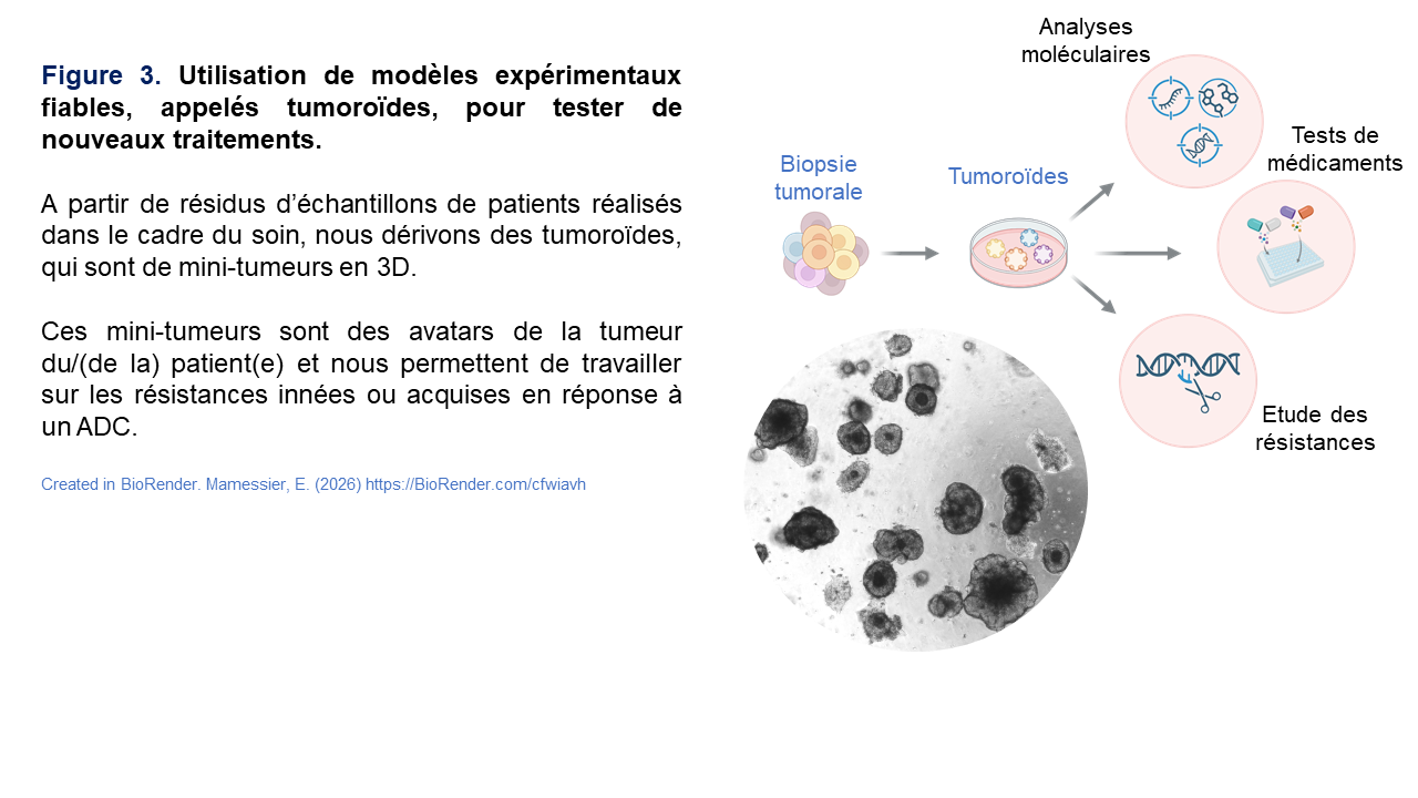 onco predict' team Fig 3