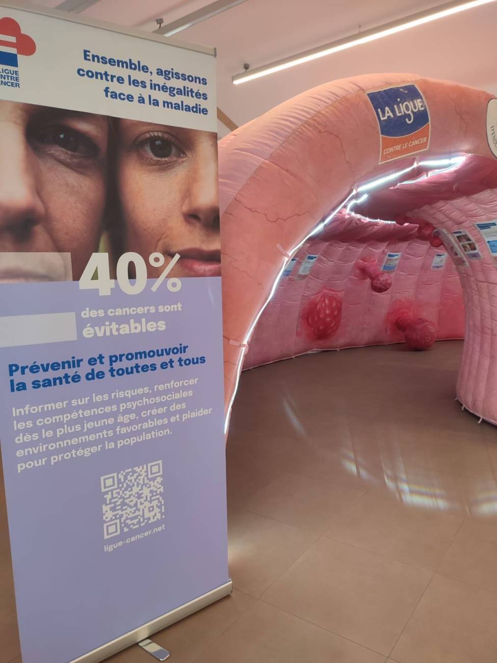 Côlon tour Mesves sur Loire