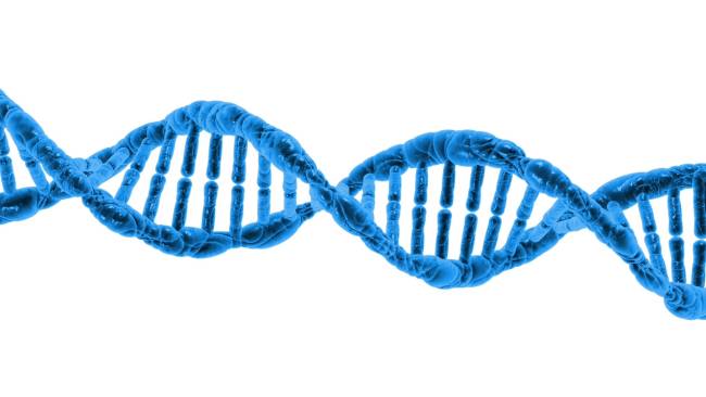 la réparation de l'ADN récompensée