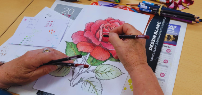 personne qui colorie une rose 