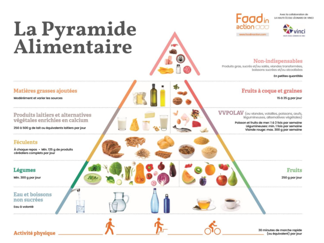 alimentation