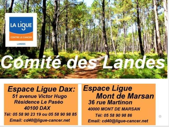 comité des landes