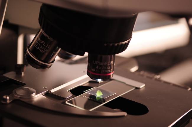 Le comité 95 soutient la recherche Microscope