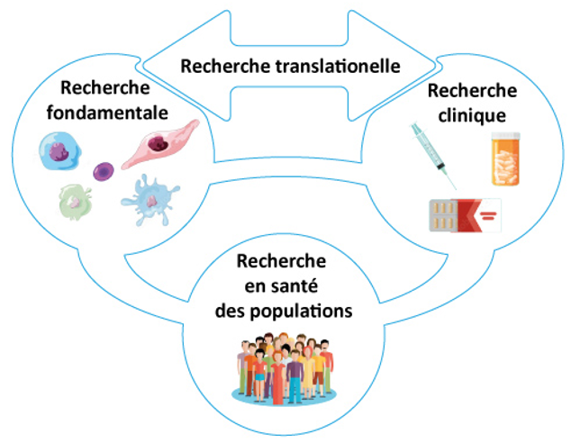 La recherche sur les cancers | Ligue contre le cancer